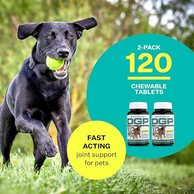 American BioSciences DGP, All-Natural Joint Supplement for Dogs - Joint Support with Turmeric, Boswellia Extract & More - Quick Effect for Pet Mobility Support - 120 Chewable Tablets (Pack of 2)