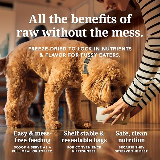 K9 Natural Lamb & King Salmon Freeze Dried Dog Food, High-Meat Natural Complete Meal or Meal Toppers for Dogs, Grass-Fed Lamb & King Salmon from New Zealand, Grain-Free, GMO-Free, 17.6oz