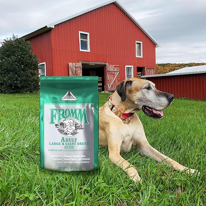 Fromm Classic Adult Large & Giant Breed Dog Food - Premium Dry Dog Food for Large & Giant Breeds - Chicken Recipe - 15 lb