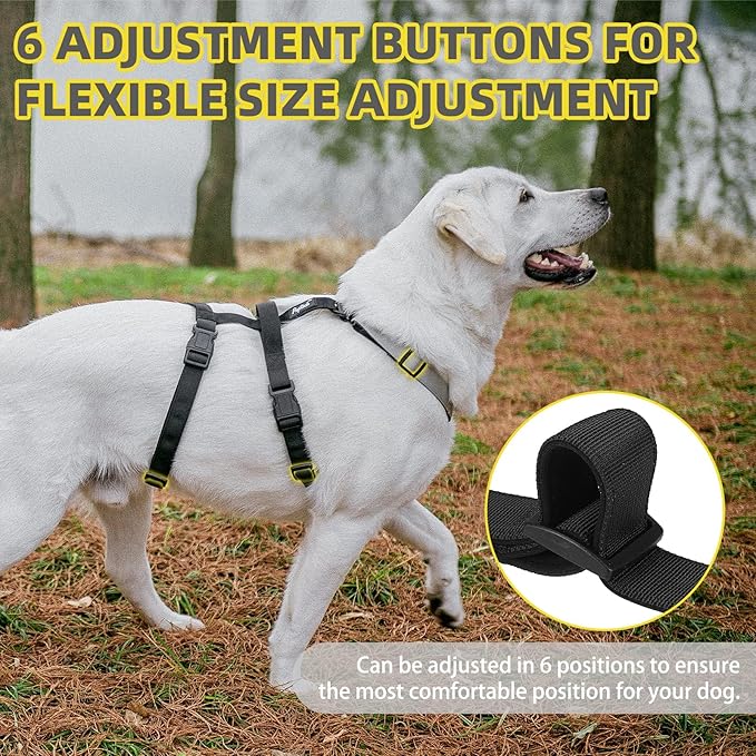 PUPTECK Escape Proof Dog Harness - No Pull Soft Padded Full Body Pet Halter Harness with Lift Handle for Small Medium Large Doggies Walking Hiking Hunting, SnowWhite & Black, S