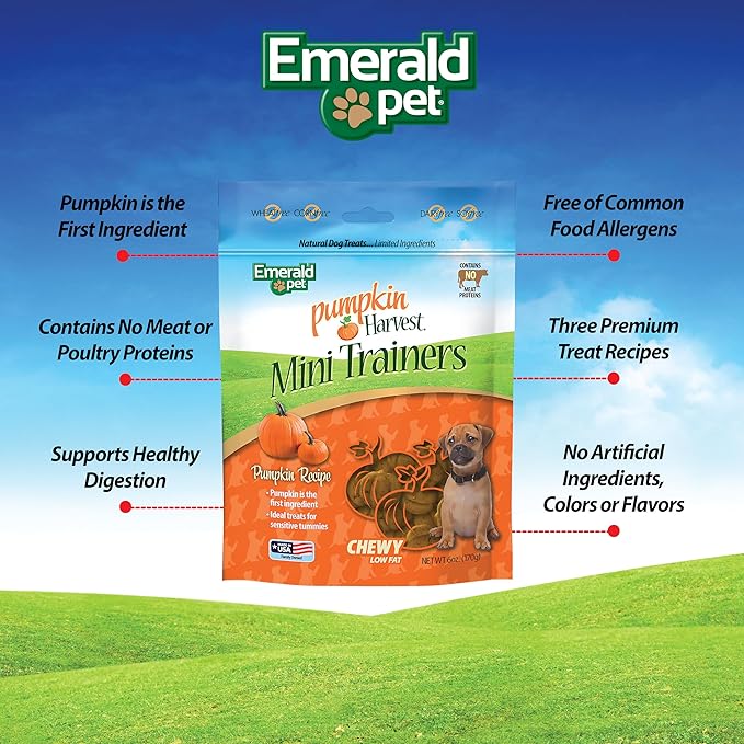 Emerald Pet Pumpkin Harvest Mini Trainers Chewy Dog Treats Made in The USA, Pumpkin 6oz (Pumpkin Mini)