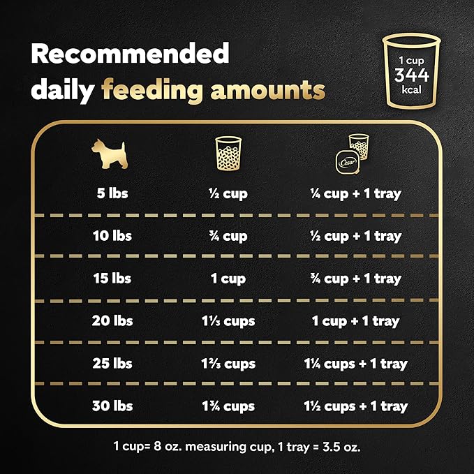 Cesar Small Breed Dry Dog Food for Small Dogs, Rotisserie Chicken Flavor and Spring Vegetables Garnish, 5 lb Bag