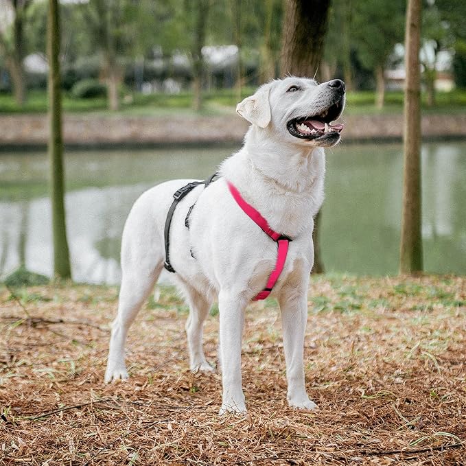 PUPTECK Escape Proof Dog Harness - No Pull Soft Padded Full Body Pet Halter Harness with Lift Handle for Small Medium Large Doggies Walking Hiking Hunting, Deep Pink & Black, M