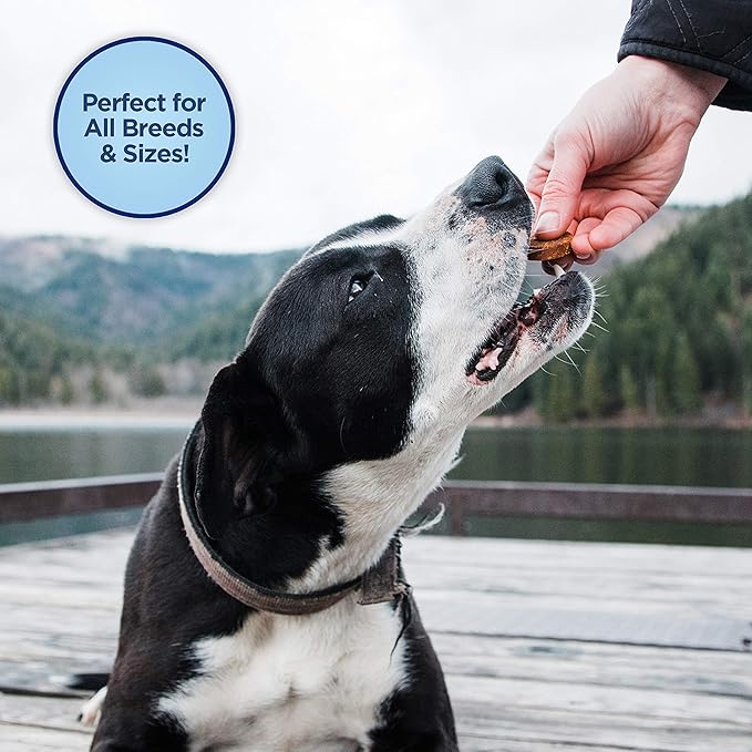 Natural Balance Limited Ingredient Mini-Rewards Turkey Grain-Free Dog Training Treats for Dogs | 5.3-oz. Canister (Pack of 2)