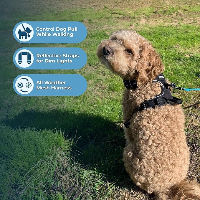 Voyager Dog Harness Dual Leash Attachment No-Pull Control Adjustable Soft but Strong Pet Harness for Medium and Large Dogs with 3M Reflective Technology, Black Nylon, XS (Chest: 13-16")