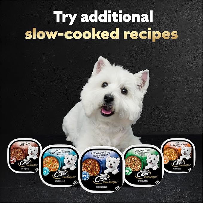 Cesar Home Delights Adult Wet Dog Food, Pot Roast Flavor with Vegetables in Dinner Sauce, Wet Food for Dogs, 3.5 oz Easy Peel Trays, 24 Count