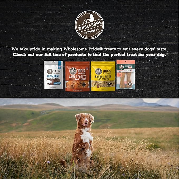 Wholesome Pride Pumpkin Slices Dog Treats – Limited Ingredient, Dehydrated, All Natural, 5 oz