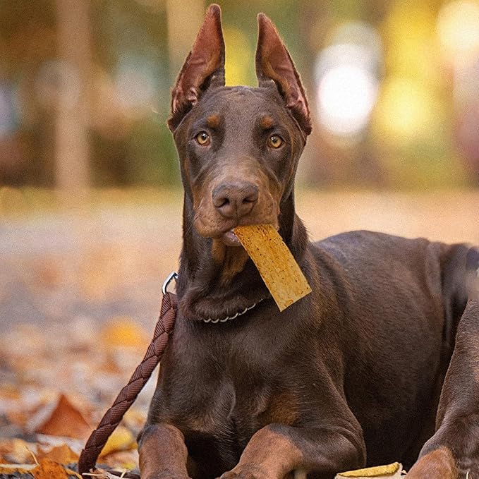 Fieldcrest Farms Nothin to Hide Flip Chips Dog Chews - Natural Rawhide Alternative Treats for Dogs, Collagen Based Snack for Moderate Chewers Up to 35lbs, Chicken Flavor - 2 Packs (16 Chips)