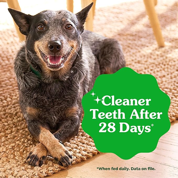 Greenies Veterinarian-Recommended Adult Natural Dental Dog Treats Petite Size, Dog Dental Chews, Original Flavor, 12 oz. Pack, 20 Count