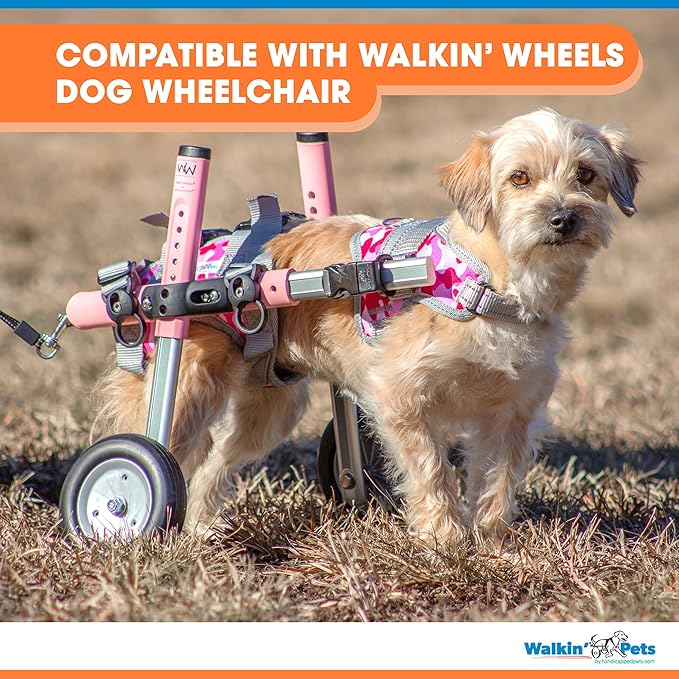 Walkin’ Warrior Rear Dog Harness for Mobility, Adjustable Handles, Rear Leg Dog Harness for Senior Dogs and Pets Recovering from Surgery
