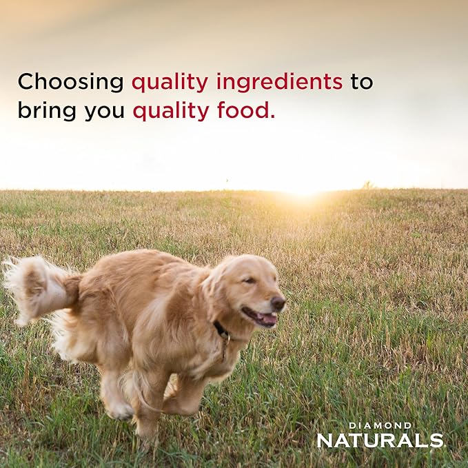 Small Breed Puppy Chicken & Rice Formula