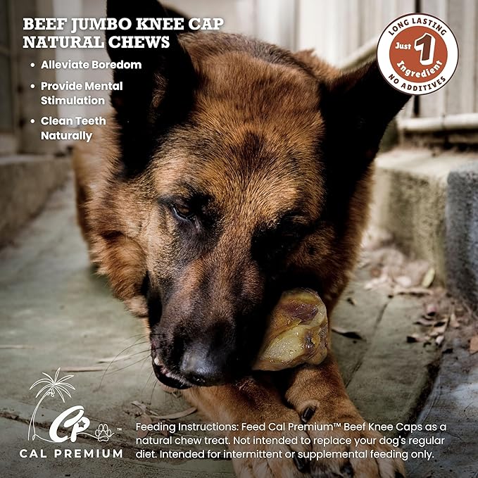 Jumbo Kneecap 2 Pack – Natural Single Ingredient Dog Chews – 4.5 Inch Long Lasting Treat – Slow Roasted for Flavor – Sourced & Made in USA – for Moderate to Aggressive Chewers