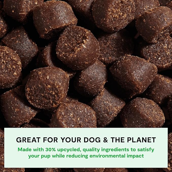 Open Farm, Be Good Bites, Soft Dog Training Treats, Small & Chewy, Made with Ethically & Sustainably Sourced Ingredients, Non-GMO Fruits & Grains, Chicken Recipe, 6oz Pouch