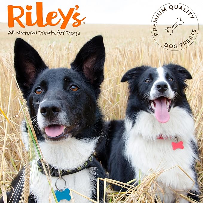 Riley's Pill Wrap for Dogs - Delicious Cheese & Bacon Flavored Pill Paste for Dogs - Wrap Pills, Capsules, Tablets in a Pocket or Pouch to Mask The Taste & Make Pill Time Easy - 4.2 oz (Pack of 2)