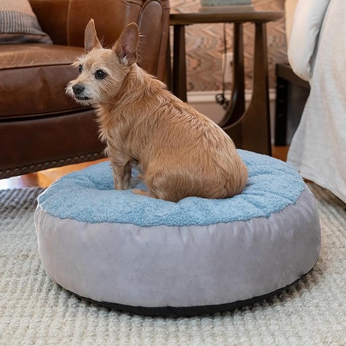 JAXX Robbi Dog Bed Bean Bag – Round Bed with Machine Washable Cover and No-Slip Base - Supportive Memory Foam for Senior Dogs & Joint Pain Relief - Ultimate Comfort & Luxury - Small, Blue/Grey