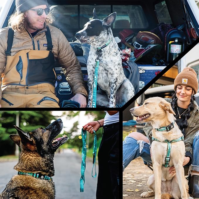 Wolfgang Heavy Duty Adjustable Dog Harness, Pull-Tested to Over 800 lbs for Walking & Training, GreatEscape Print, Large