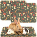 Drydiet 2 Pcs 16 x 12''Rabbit Scratch Mat Natural Bunny Scratching Pad Claws and Teeth Care Rabbit Mats for Cages Chew Toys Bunny Pet Cage Bedding for Biting Sleeping Nesting