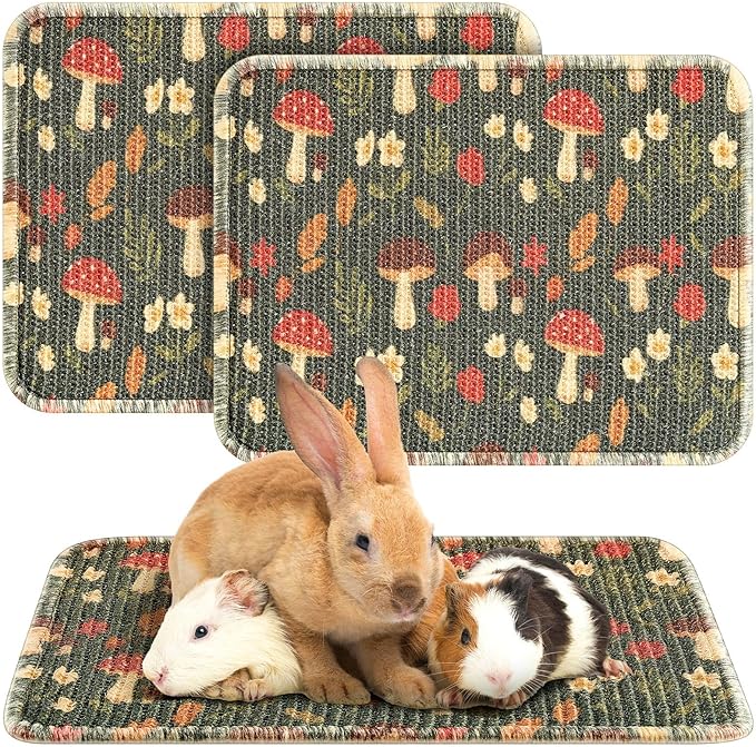 Drydiet 2 Pcs 16 x 12''Rabbit Scratch Mat Natural Bunny Scratching Pad Claws and Teeth Care Rabbit Mats for Cages Chew Toys Bunny Pet Cage Bedding for Biting Sleeping Nesting