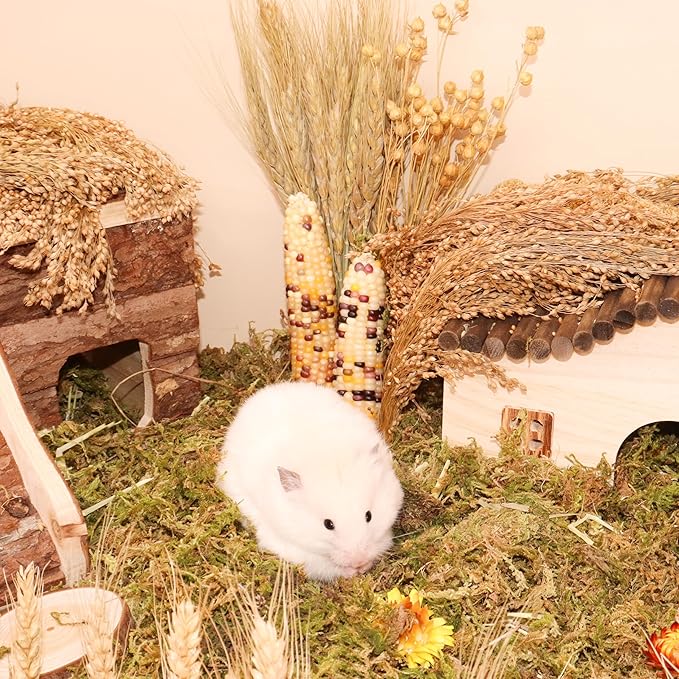 Hamster Organic Sprays Set = Wheat + Flax + Yellow Millet + Panicle Millet, Pet Habitat Bedding Decor, Natural Hamster Chews Accessories Supplies, for Gerbil, Mice, Guinea Pig, Chinchilla, 4 sprays