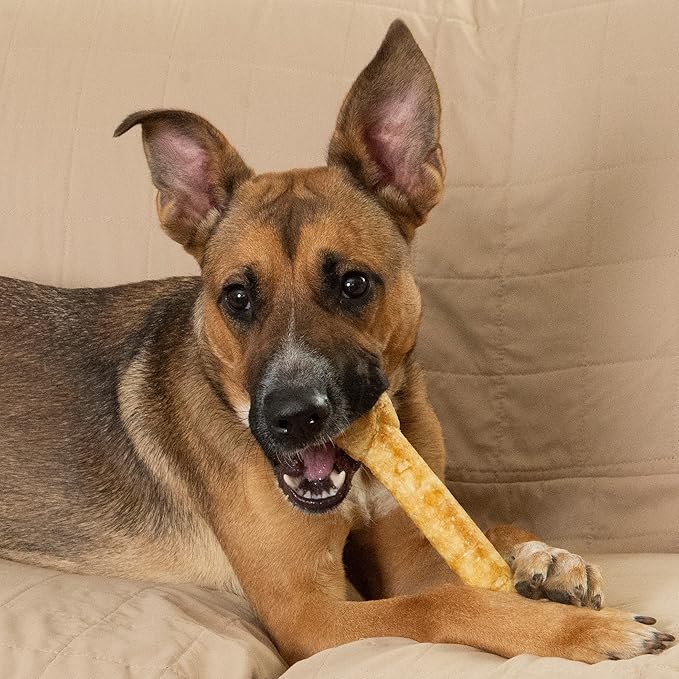Fieldcrest Farms Nothin’ to Hide Ultra Knotted Bones – Collagen-Based Rawhide Alternative Dog Chews, Beef Flavor, Highly Digestible for Aggressive Chewers up to 35 lbs, 9-Inch, 2 Pack