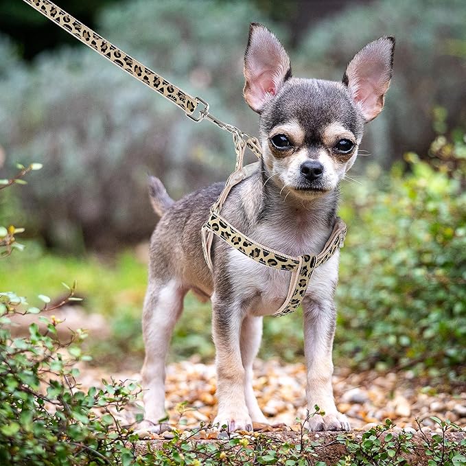 Mile High Life Leopard Dog Harness Collar Leash Set, Adjustable No Pull Dog Halter Harness for Small Breed Dogs, Easy Control for Training Walking (Beige, XS Chest 9"-15", Neck 8"-12")