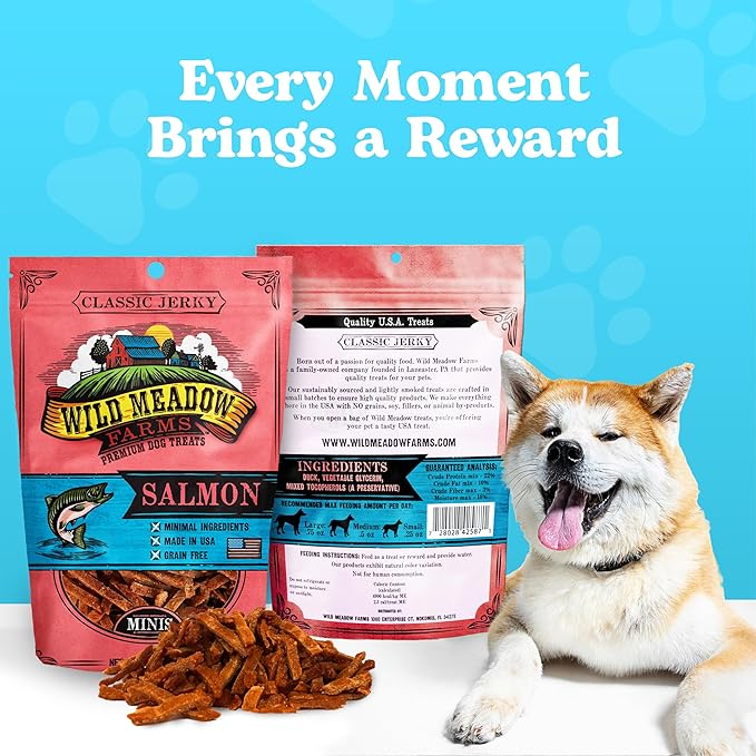 Wild Meadow Farms - Classic Salmon Minis, Soft Jerky Training Treats for Dogs, Grain-Free, All-Natural & Perfectly Sized for Training, High-Value Rewards in a Convenient 3.5 Ounce Pouch