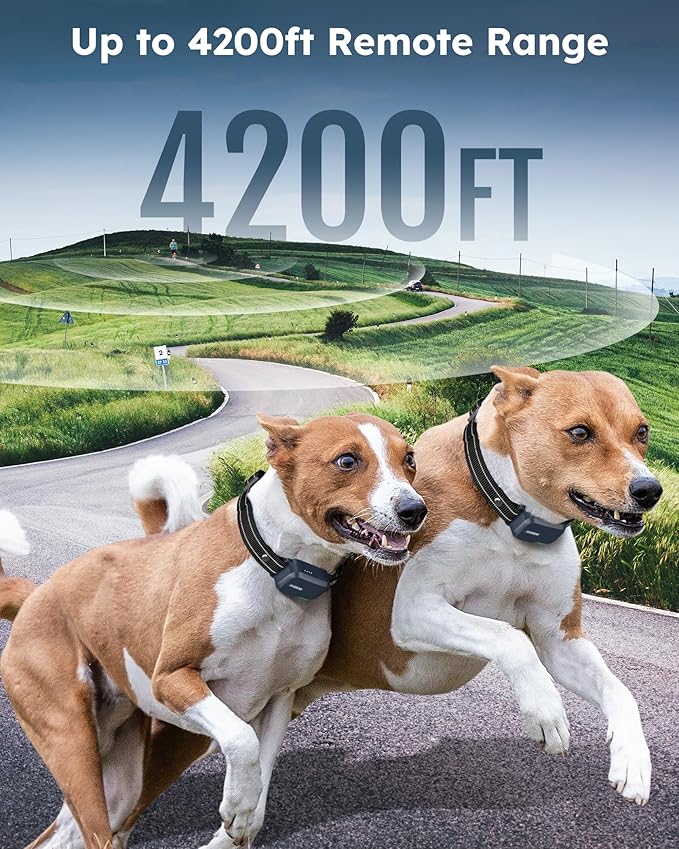 Jugbow Dog Shock Collar 2 Dogs (10-120Lbs) - 4200FT Dog Training Collar with Remote IPX7 Waterproof Electric Collar with 4 Training Modes, Rechargeable e-Collar for Lager Medium Small Dog (NBU)