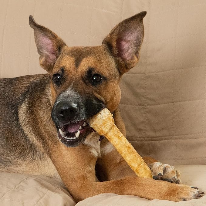 Fieldcrest Farms Nothin’ to Hide Ultra Knotted Bones – Collagen-Based Rawhide Alternative Dog Chews, Beef Flavor, Highly Digestible for Aggressive Chewers up to 35 lbs, 9-Inch, 2 Pack