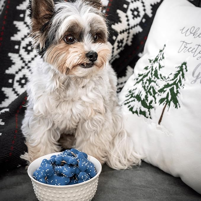 Wufers Pawliday Gourmet Cookie Dog Treats (Sprinkled Bone Platter - Blue)