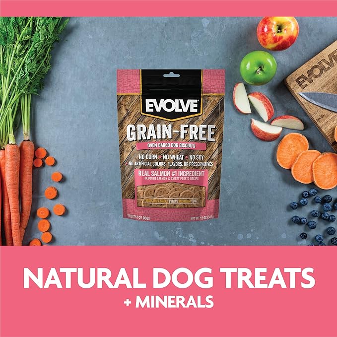 Evolve Pet Food Grain Free Deboned Salmon and Chickpea Dog Biscuits 12 Ounce (Pack of 2)