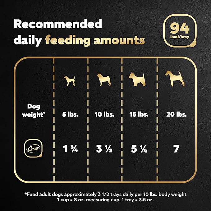 Cesar Filets in Gravy, Adult Wet Dog Food, New York Strip Flavor, Wet Food for Dogs, 3.5 oz Trays, 24 Count