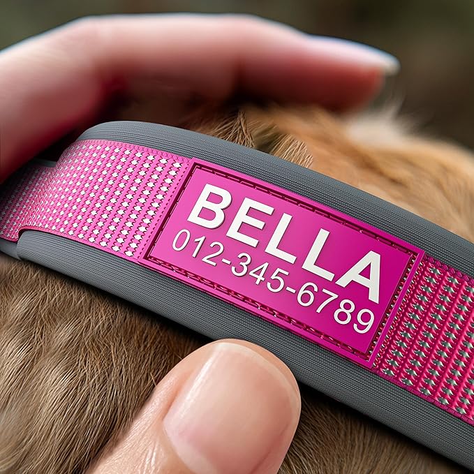 Personalized Dog Collar with Name & Phone Number - Durable Metal Buckle, Ultra-Visible Fully Reflective, and Wide Comfort-Fit Padded Neoprene for Small, Medium, Large Dogs and Cats