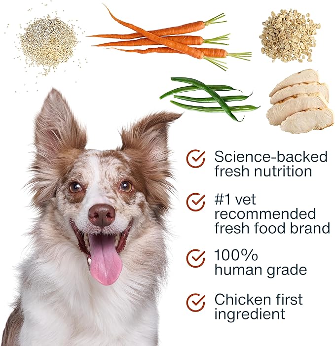 JustFoodForDogs JustFresh Boost Sensitive Stomach Dog Food Toppers with Fiber for Gut Support & Digestive Health, Human-Grade Fresh Pet Meal Booster, 8 oz Pouches - 8 Pack
