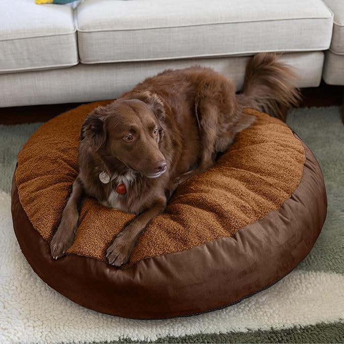 JAXX Robbi Dog Bed Bean Bag – Round Bed with Machine Washable Cover and No-Slip Base - Supportive Memory Foam for Senior Dogs & Joint Pain Relief-Ultimate Comfort & Luxury - Medium, Caramel/Chocolate