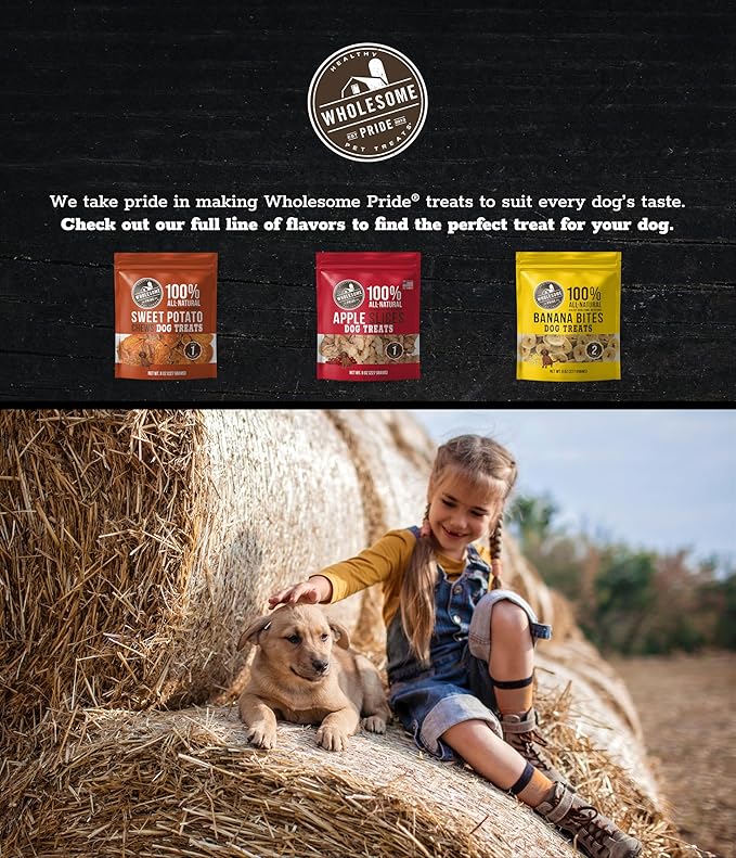 Wholesome Pride Sweet Potato Fries Dog Treats, Single Ingredient, All-Natural, Made Without Grain, 8 oz