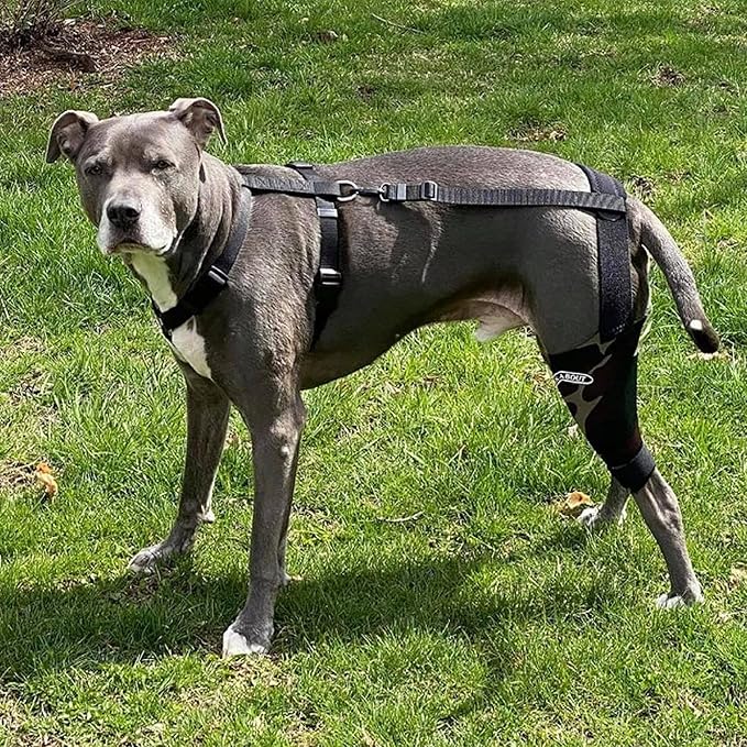 Walkabout Chest Halter (Large Chest 22-38")