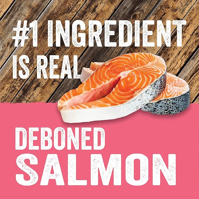 Evolve Pet Food Grain Free Deboned Salmon and Chickpea Dog Biscuits 12 Ounce (Pack of 1)