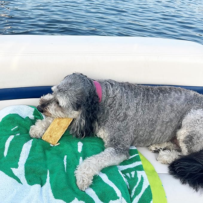 Fieldcrest Farms Nothin to Hide Flip Chips Dog Chews - Natural Rawhide Alternative Treats for Dogs, Collagen Based Snack for Moderate Chewers Up to 35lbs, Chicken Flavor