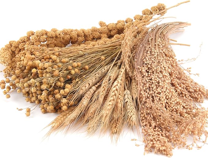 Hamster Organic Sprays Set = Wheat + Flax + Yellow Millet + Panicle Millet, Pet Habitat Bedding Decor, Natural Hamster Chews Accessories Supplies, for Gerbil, Mice, Guinea Pig, Chinchilla, 4 sprays