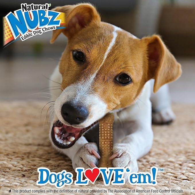 Nylabone Nubz Wild Natural Edible Chew Treats for Dogs, Made in USA, Bison Flavor, Small - Up to 25 lbs. (4 Count) (Pack of 2)