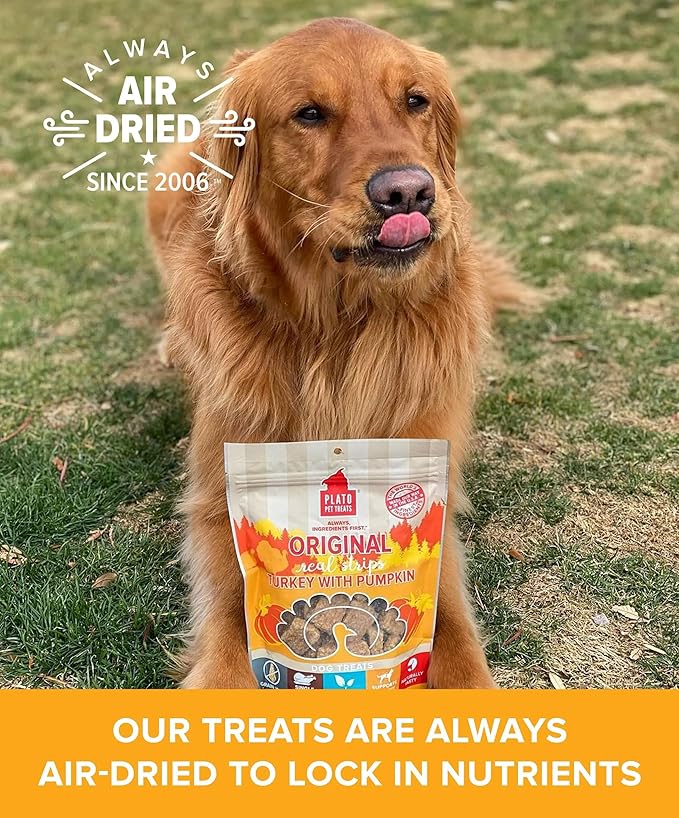 PLATO Pet Treats Real Strips Dog Treats – Turkey & Pumpkin – Air-Dried High Protein Dog Treats – Supports Immunity & Gut Health – Limited Ingredient, No Fillers – Made in USA – 6 oz