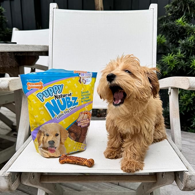 Nylabone Nubz Natural Dog Chew Treats for Puppies, Long Lasting Dog Bones Made in USA, Puppy Training Treats, Turkey & Sweet Potato Flavor, for Puppies Up to 25 lbs. (28 Count)