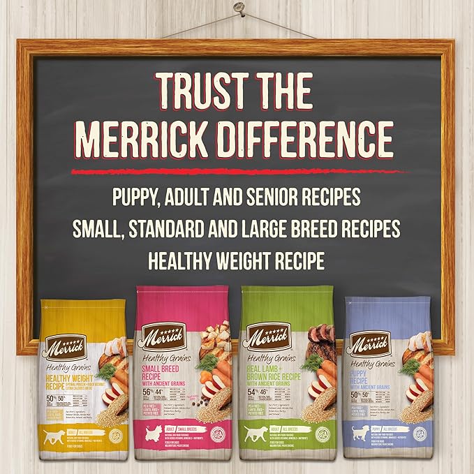 Merrick Healthy Grains Premium Adult Dry Dog Food, Wholesome And Natural Kibble With Lamb And Brown Rice - 4.0 lb. Bag