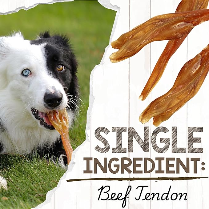 Nature Gnaws USA Beef Tendons for Dogs (8oz) - Mixed Thickness - Long Lasting for Aggressive Chewers - Premium Natural Beef Dog Chew Treats - Rawhide Free