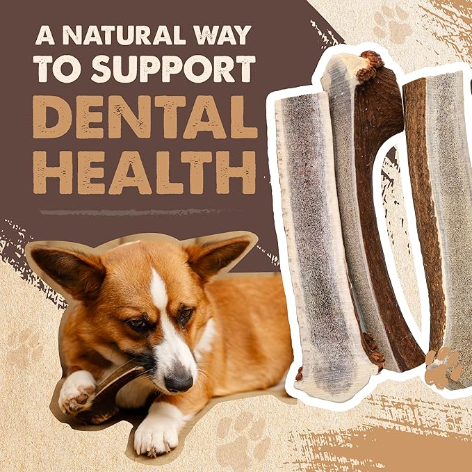Mighty Paw Split Elk Antlers for Dogs (Sourced in The USA) | 2 Pack, Large 7"+ Long Lasting Bones for Aggressive Chewers - Naturally Shed Split Deer Antler for Dogs - Low Odor Chews