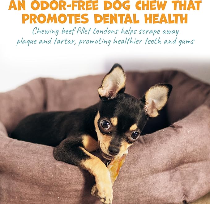 Beef Tendons for Dogs - Single Ingredient Dog Treats & Chews for Small Dogs and Medium Breeds - Dog Chew Sticks - 4-6" (12ct)