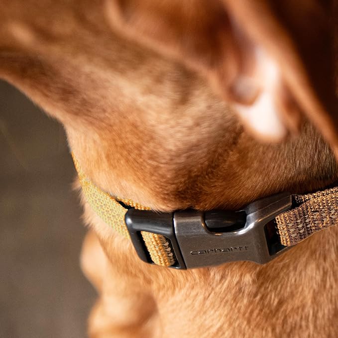 Carhartt Fully Adjustable Nylon Webbing Collars for Dogs, Reflective Stitching for Visibility, Carhartt Brown (Nylon Webbing), Medium
