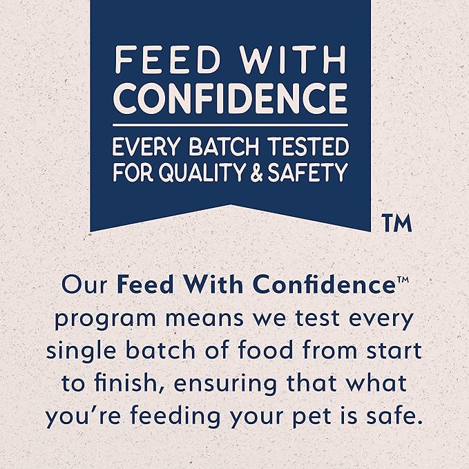 Natural Balance Limited Ingredient Rewards Jumpin' Stix, Grain-Free Dog Treats for Adult Dogs of All Breeds, Chicken Recipe, 10 Ounce (Pack of 1)