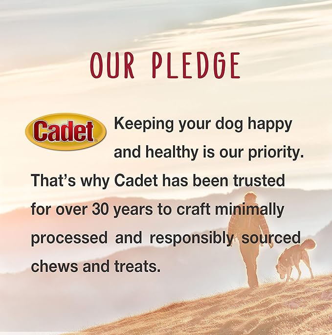 Cadet Stuffed Shin Bone, Long-Lasting Dog Chew Bones for Aggressive Chewers, High Protein Filled Bone Dental Chew for Dogs, Bacon & Cheese Flavor Filling, 5-6" for Large Dogs