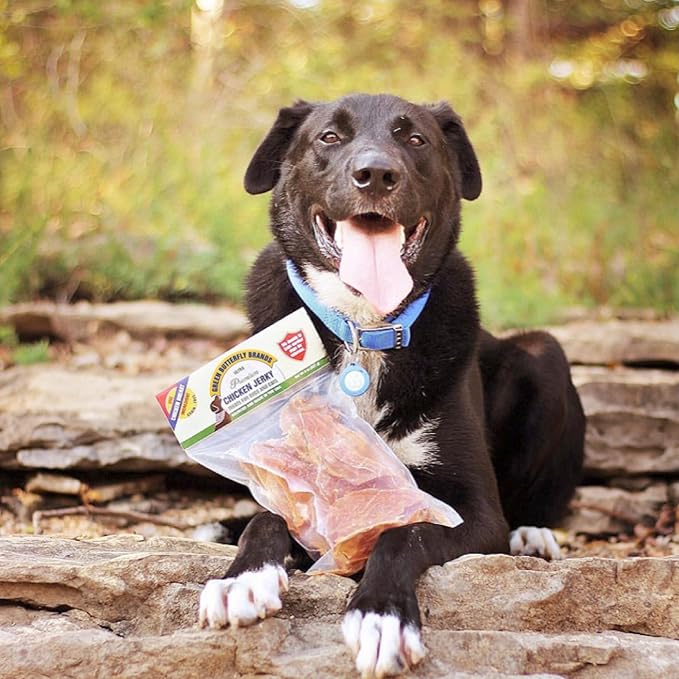 Chicken Jerky - Dog Treats Made in USA Only - 1 Ingredient: USDA Grade A Chicken Breast - No Additives or Preservatives - Grain Free Snack, All Natural Premium Strips, 8 Ounces